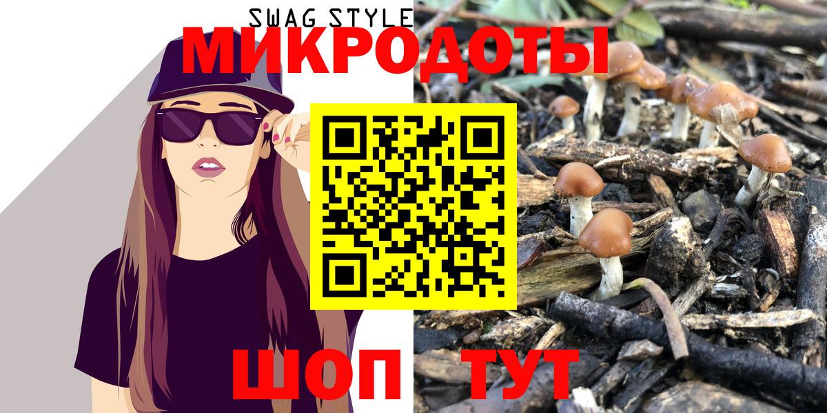 Галлюциногенные грибы GOLDEN TEACHER  Вход с VPN  Новотроицк 