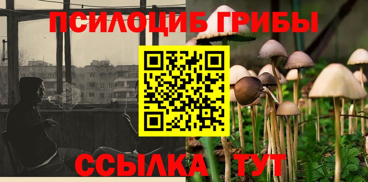 Галлюциногенные грибы Psilocybine cubensis Новотроицк